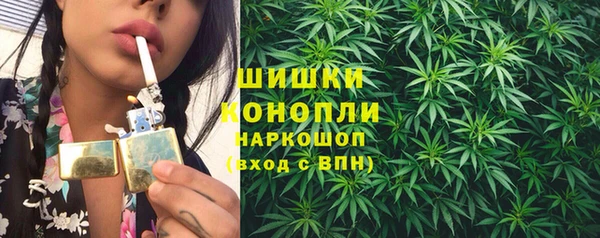 хмурый Лиски