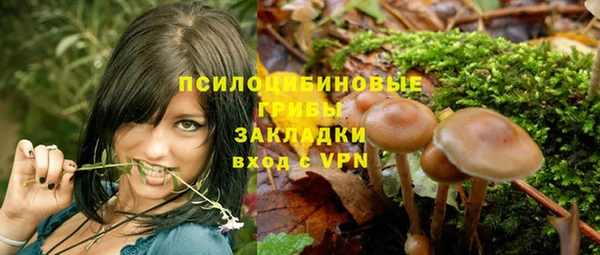гашик Лихославль