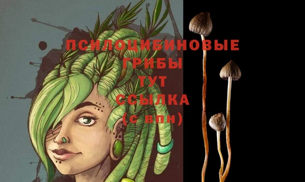 MDMA Ладушкин