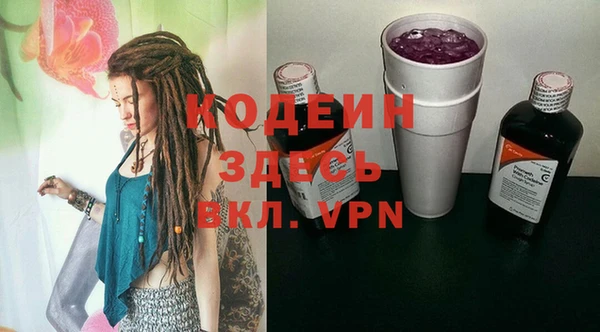 хмурый Лиски