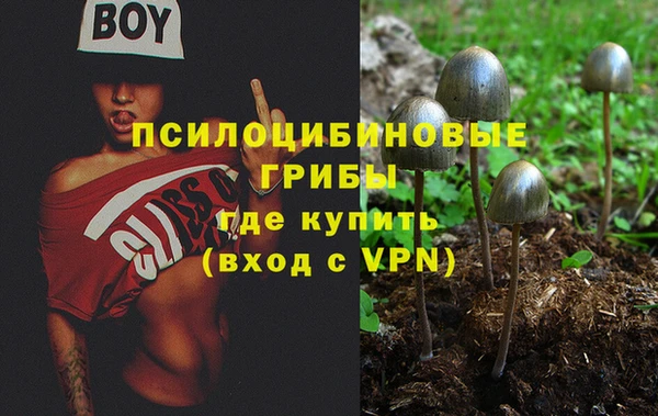хмурый Лиски