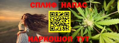 apvp Канаш