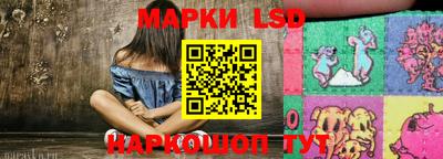 apvp Канаш