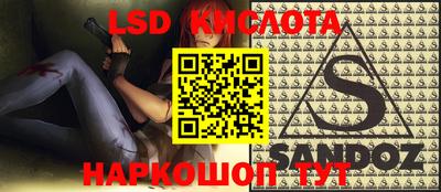 spice Камышлов