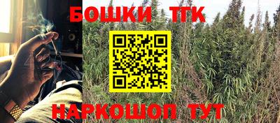 spice Камышлов