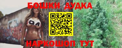 spice Камышлов