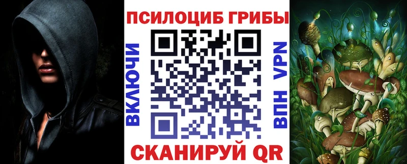 Галлюциногенные грибы Cubensis  Черняховск 