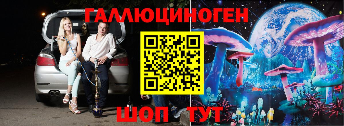 Галлюциногенные грибы мухоморы Черняховск