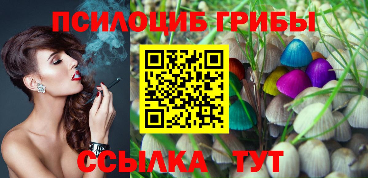 Галлюциногенные грибы Psilocybine cubensis  Черняховск 