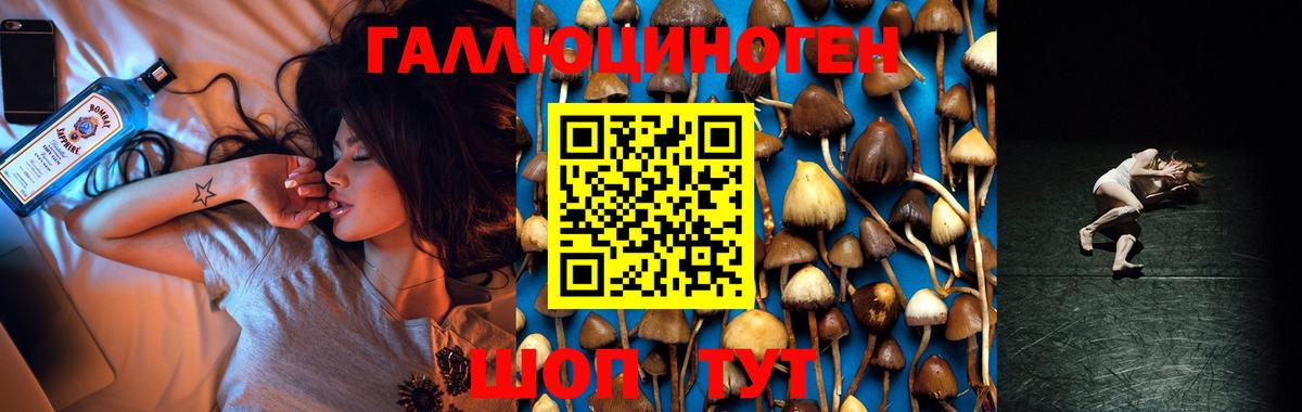 Черняховск  Псилоцибиновые грибы GOLDEN TEACHER  Вход с VPN  Галлюциногенные грибы GOLDEN TEACHER 