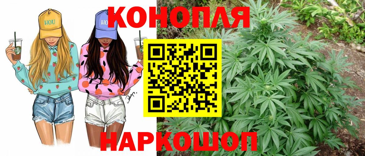 МАРИХУАНА гибрид  Конопля семена  Канабис SATIVA & INDICA  Черняховск  Шишки марихуана индика  Вход с VPN 